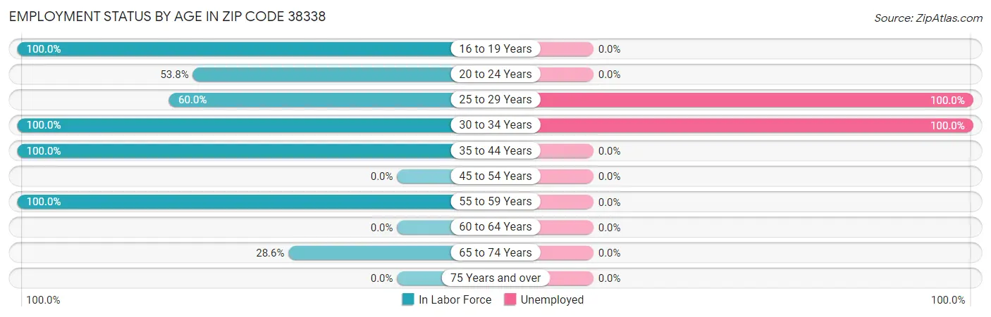 Employment Status by Age in Zip Code 38338