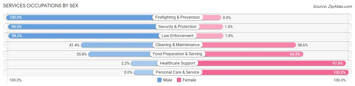 Services Occupations by Sex in Zip Code 38340
