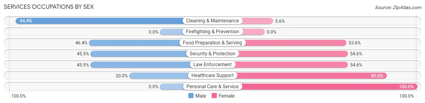Services Occupations by Sex in Zip Code 38342