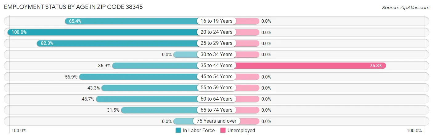 Employment Status by Age in Zip Code 38345