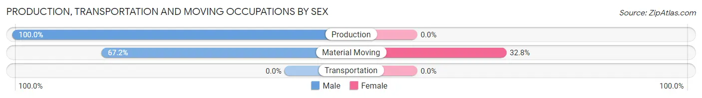 Production, Transportation and Moving Occupations by Sex in Zip Code 38352