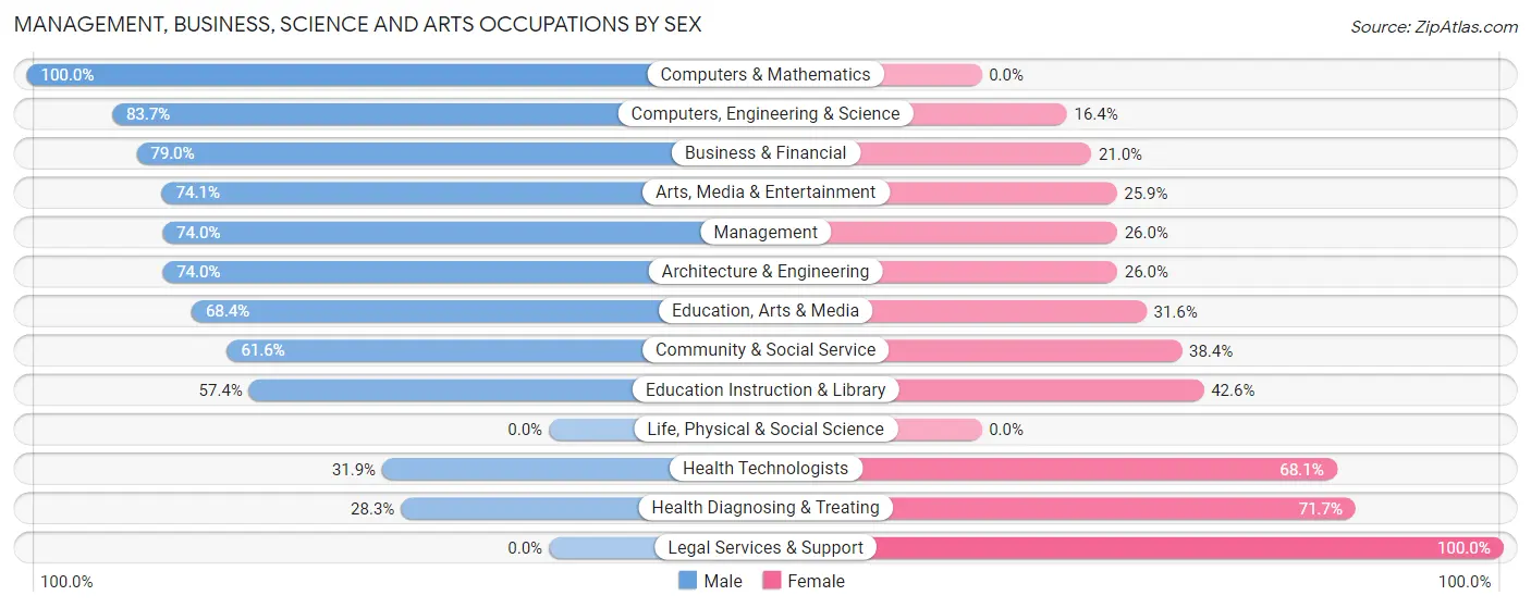 Management, Business, Science and Arts Occupations by Sex in Zip Code 38355