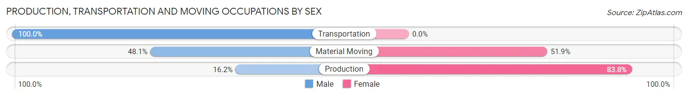 Production, Transportation and Moving Occupations by Sex in Zip Code 38355