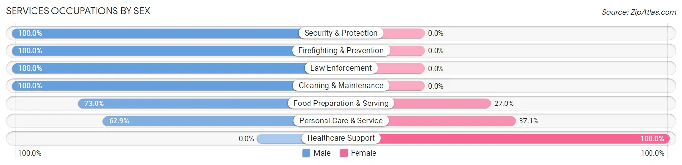Services Occupations by Sex in Zip Code 38355