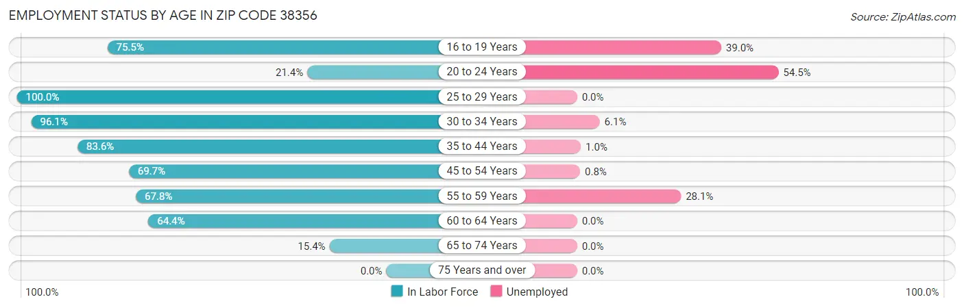 Employment Status by Age in Zip Code 38356