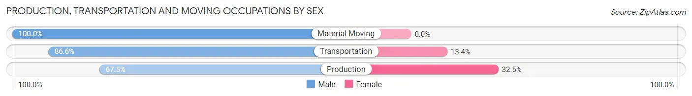 Production, Transportation and Moving Occupations by Sex in Zip Code 38358
