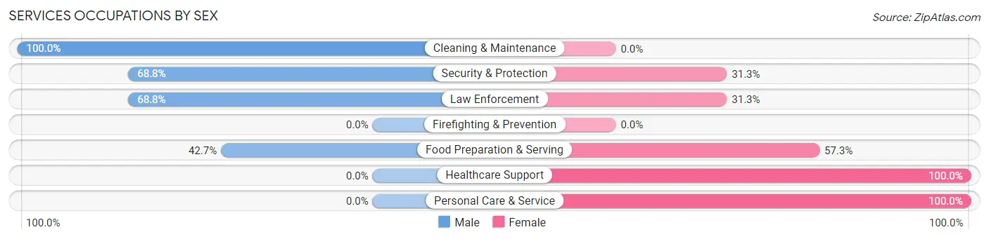 Services Occupations by Sex in Zip Code 38358