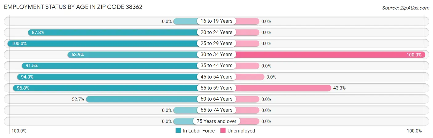 Employment Status by Age in Zip Code 38362