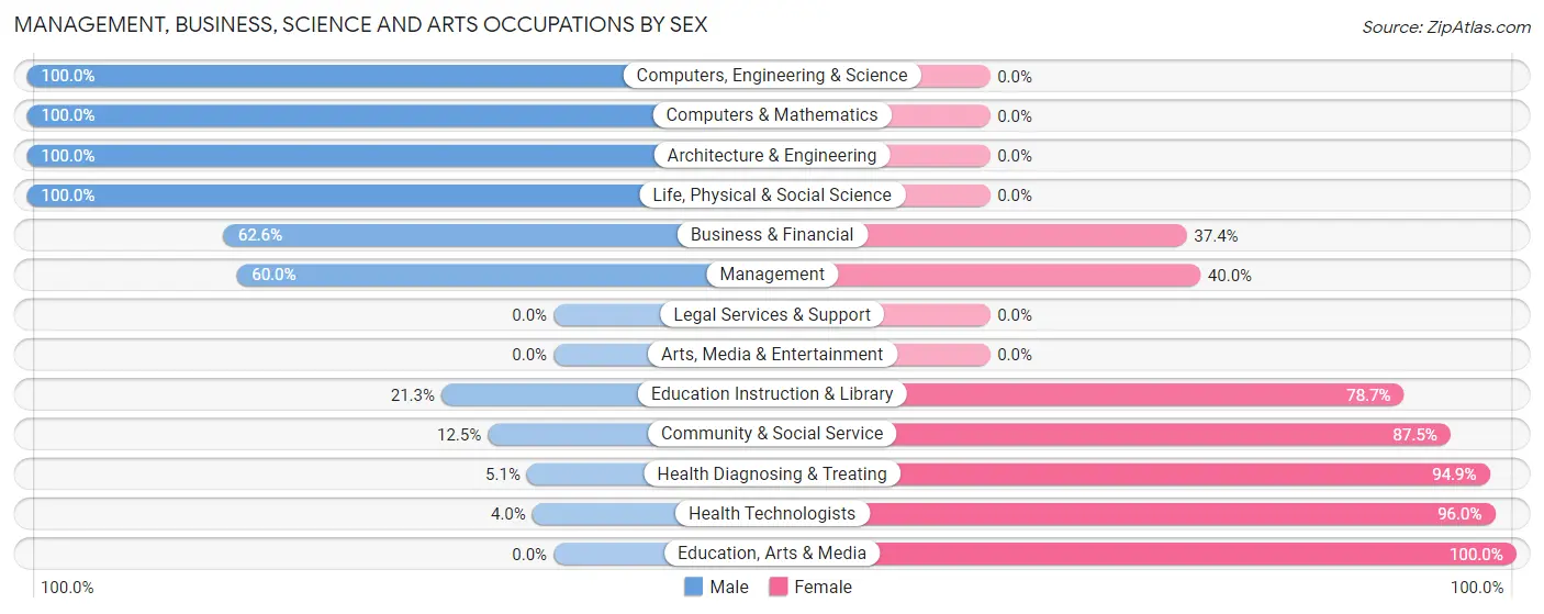 Management, Business, Science and Arts Occupations by Sex in Zip Code 38363