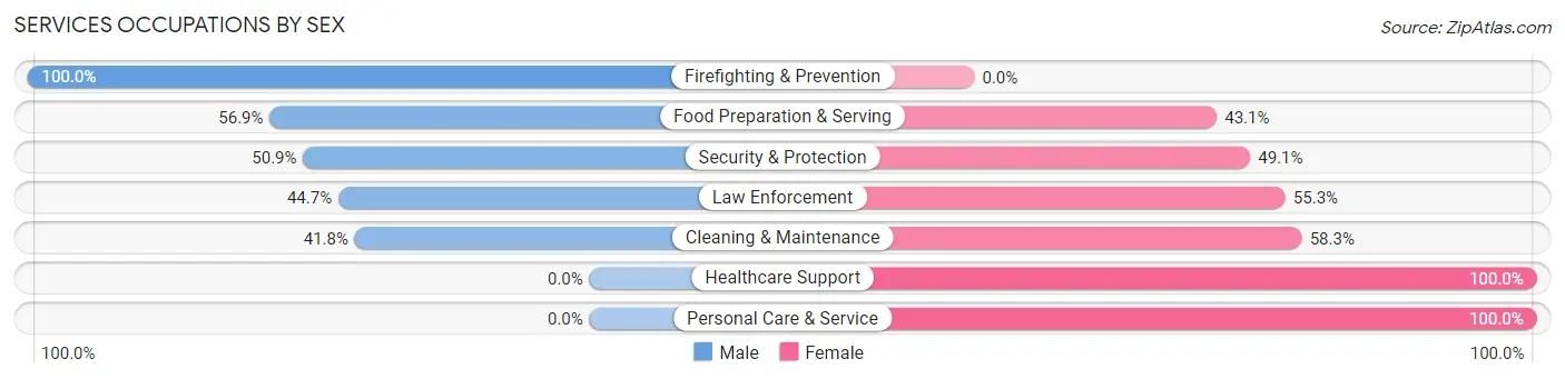 Services Occupations by Sex in Zip Code 38363