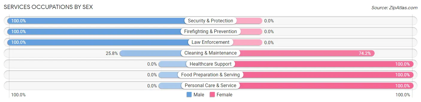 Services Occupations by Sex in Zip Code 38367