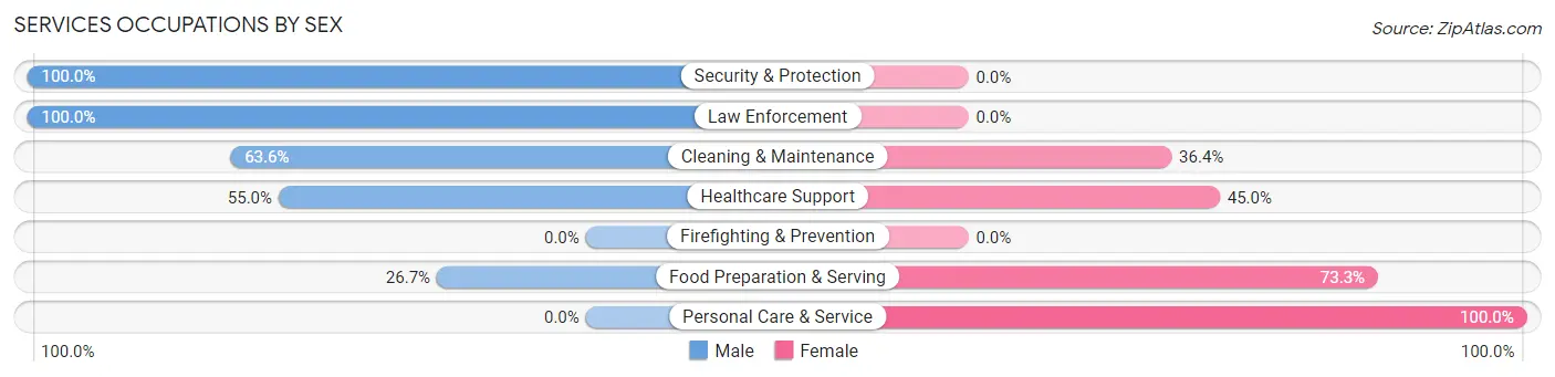 Services Occupations by Sex in Zip Code 38369