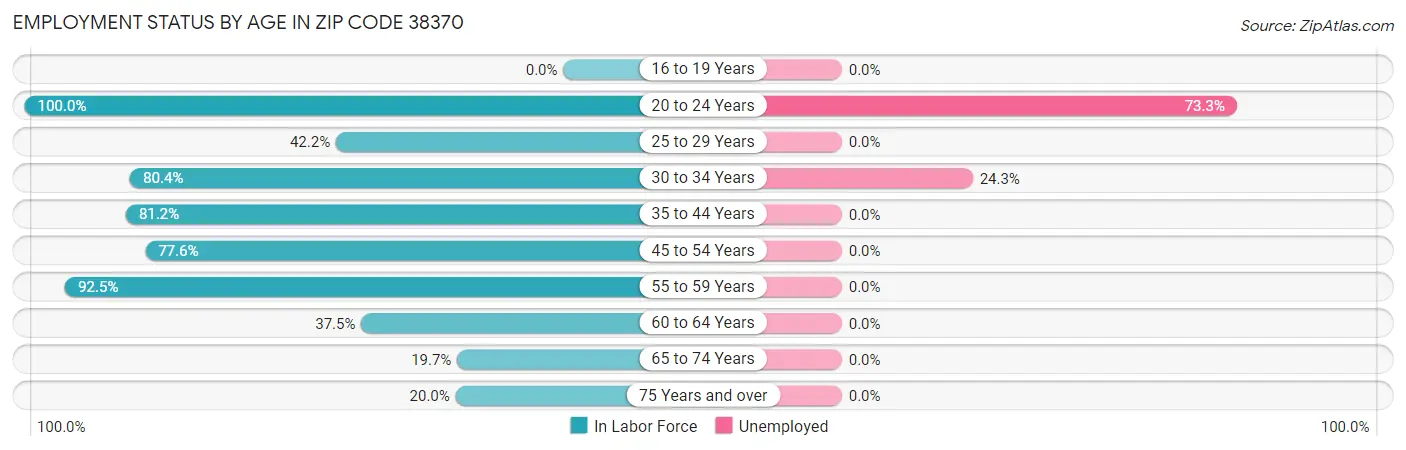 Employment Status by Age in Zip Code 38370