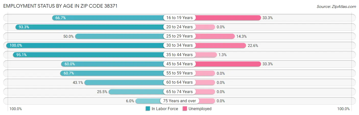 Employment Status by Age in Zip Code 38371