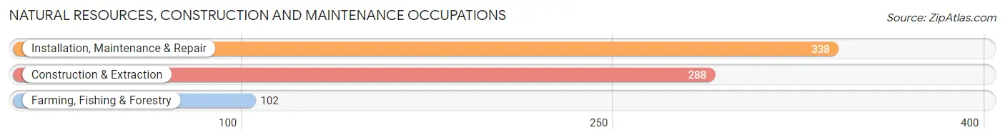 Natural Resources, Construction and Maintenance Occupations in Zip Code 38372