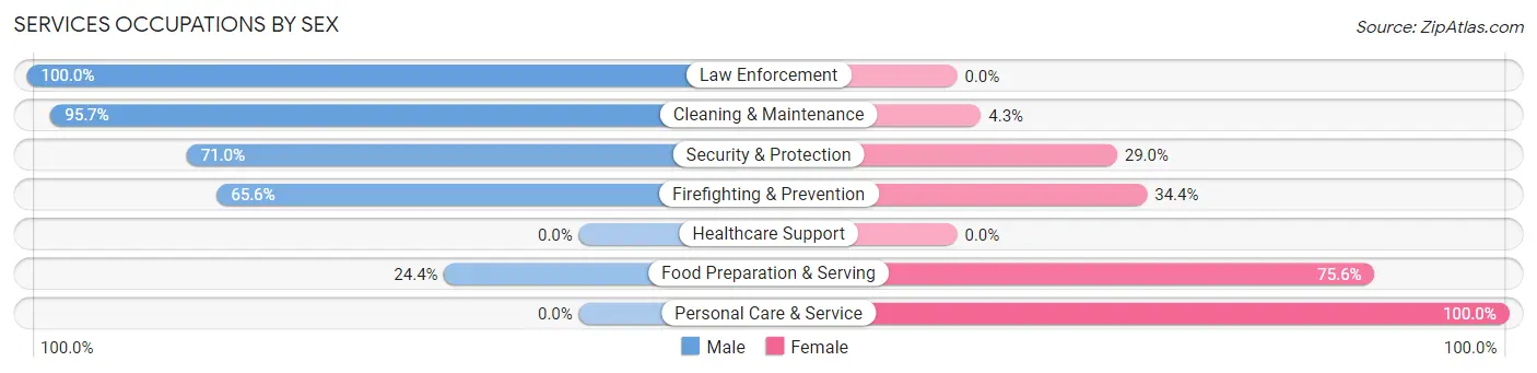 Services Occupations by Sex in Zip Code 38375