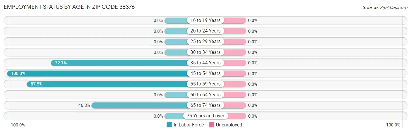 Employment Status by Age in Zip Code 38376