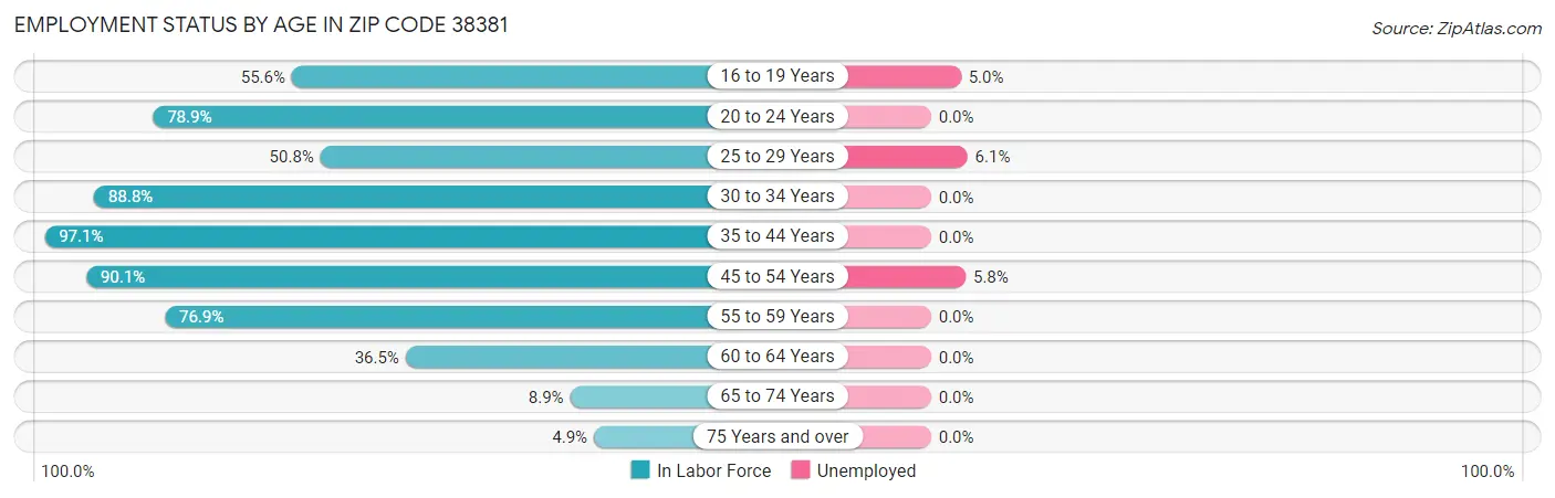 Employment Status by Age in Zip Code 38381