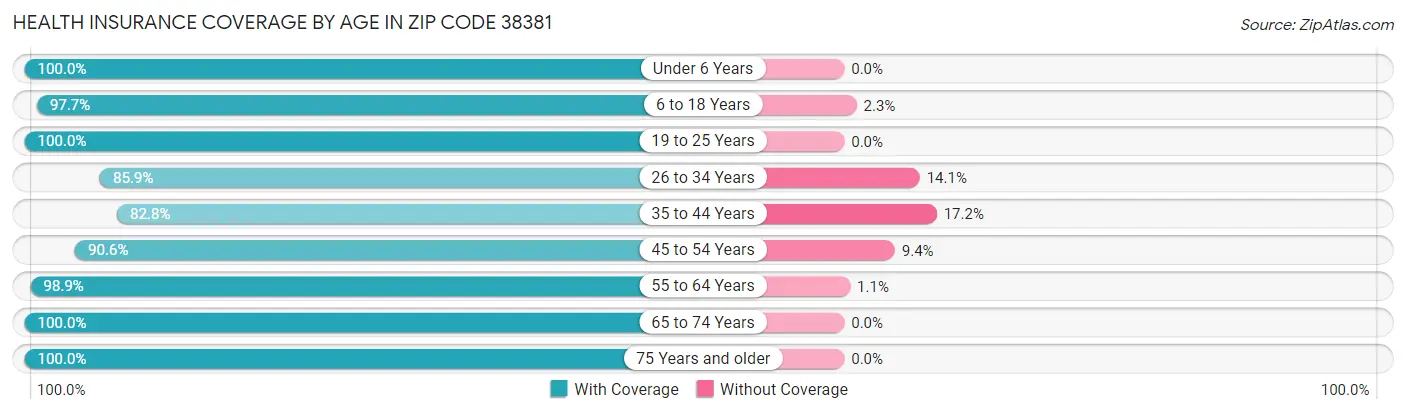Health Insurance Coverage by Age in Zip Code 38381