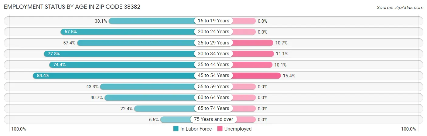 Employment Status by Age in Zip Code 38382