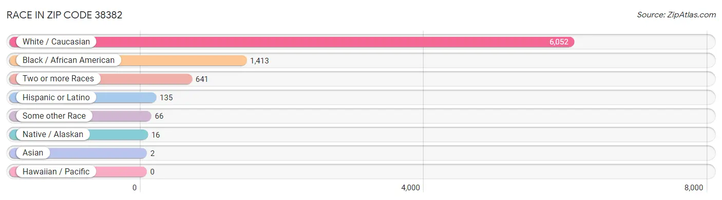 Race in Zip Code 38382