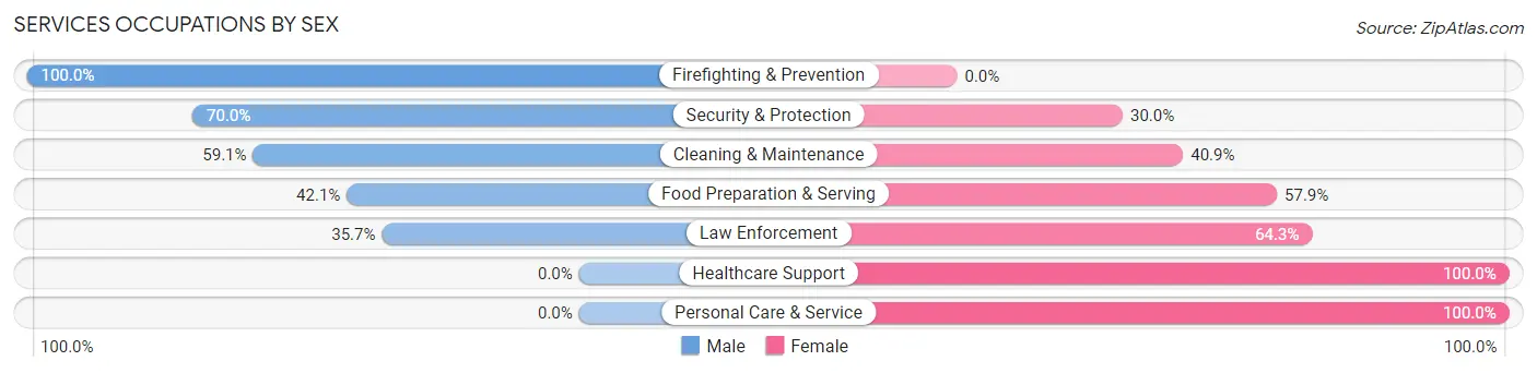 Services Occupations by Sex in Zip Code 38382