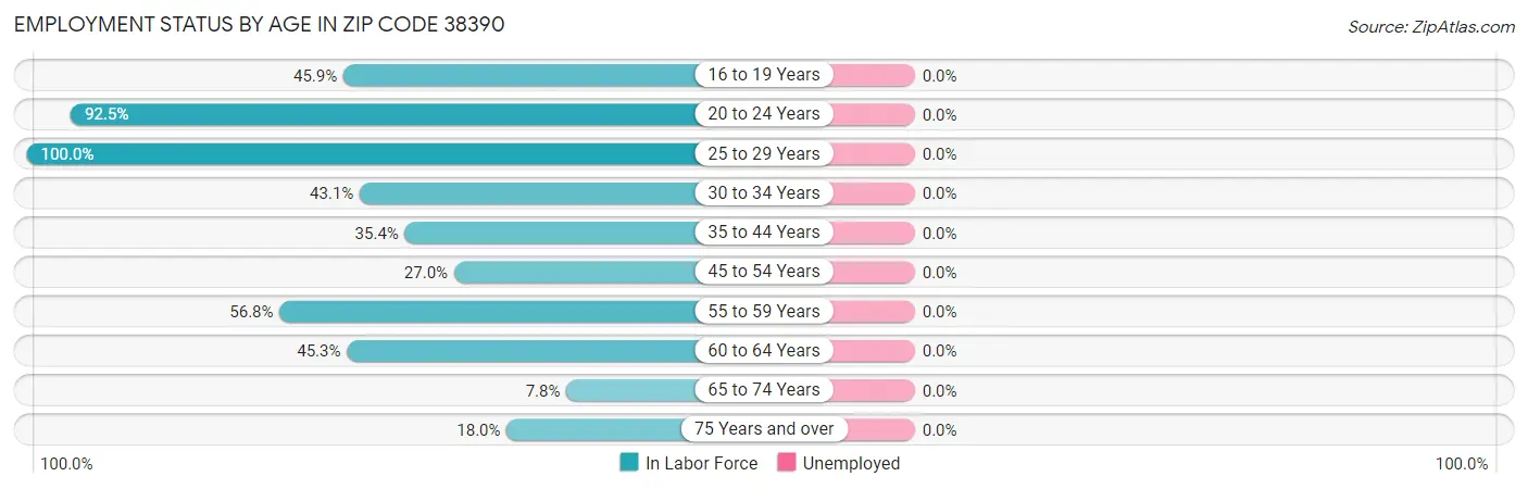Employment Status by Age in Zip Code 38390