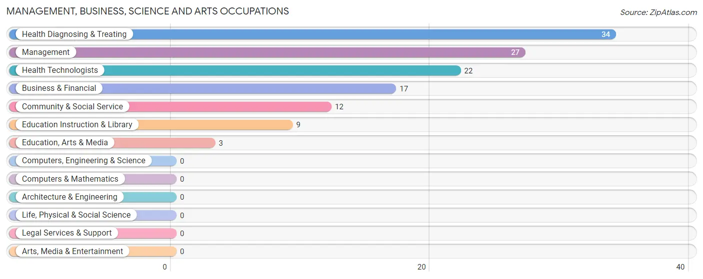 Management, Business, Science and Arts Occupations in Zip Code 38390