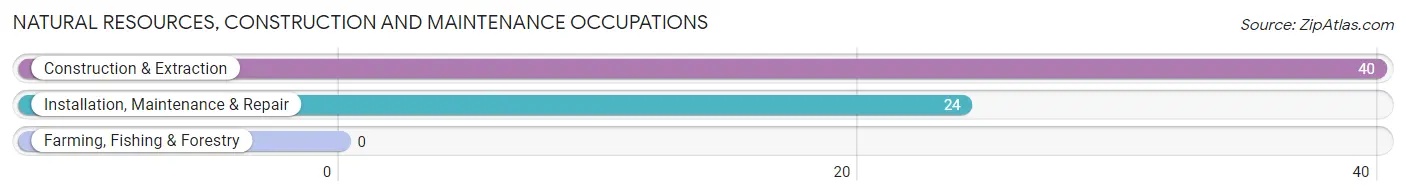 Natural Resources, Construction and Maintenance Occupations in Zip Code 38390