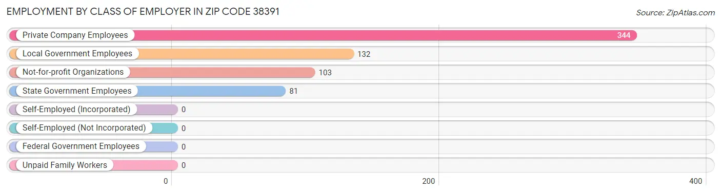 Employment by Class of Employer in Zip Code 38391