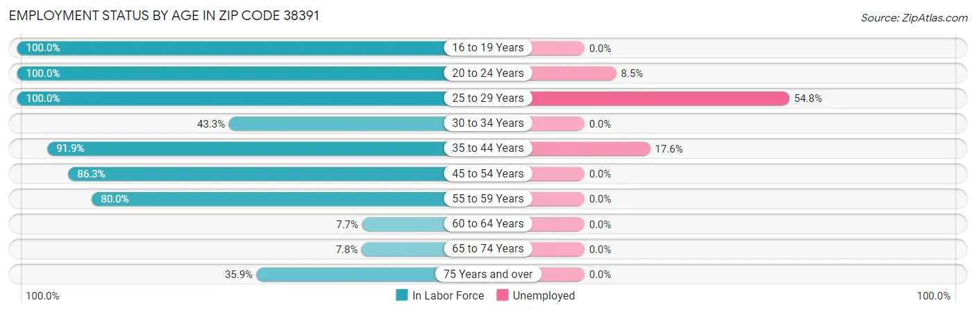 Employment Status by Age in Zip Code 38391
