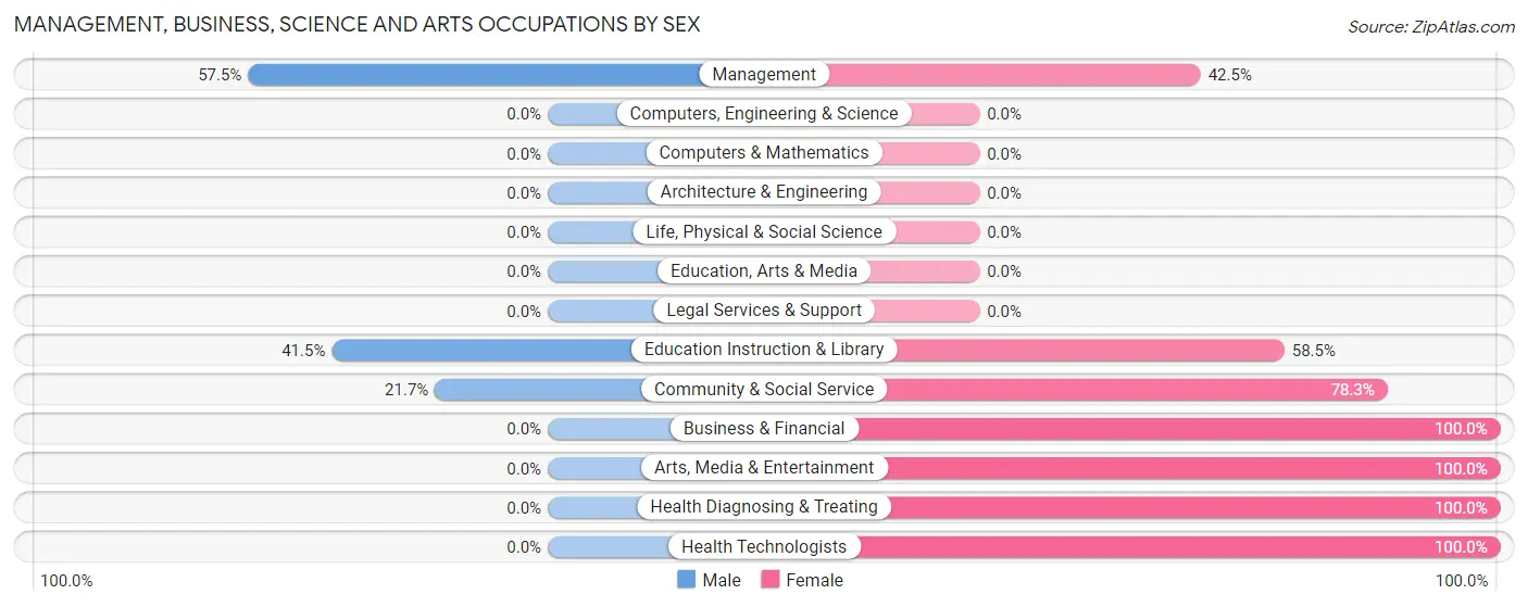 Management, Business, Science and Arts Occupations by Sex in Zip Code 38391