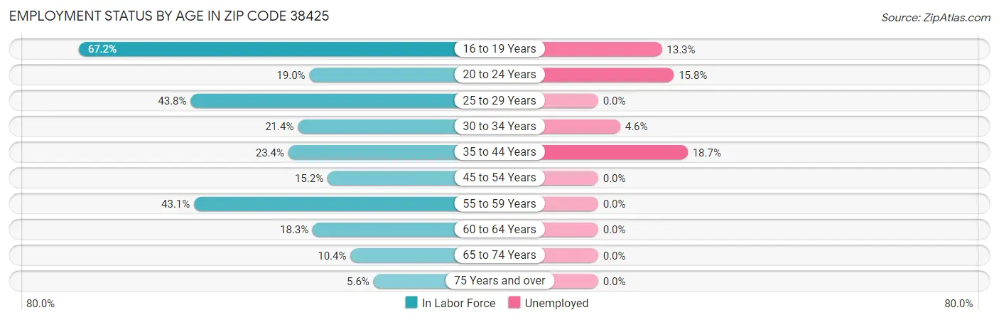 Employment Status by Age in Zip Code 38425