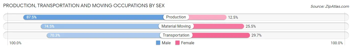 Production, Transportation and Moving Occupations by Sex in Zip Code 38425