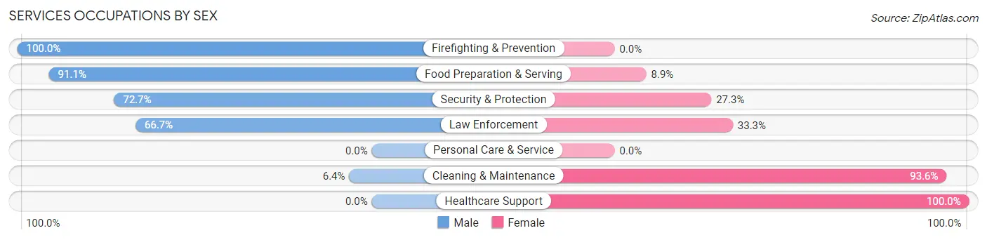 Services Occupations by Sex in Zip Code 38425