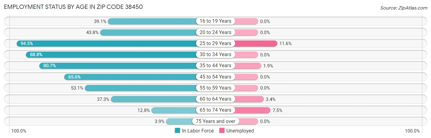 Employment Status by Age in Zip Code 38450