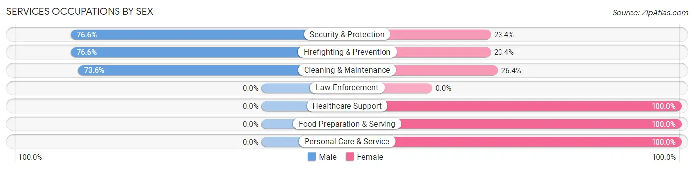 Services Occupations by Sex in Zip Code 38451