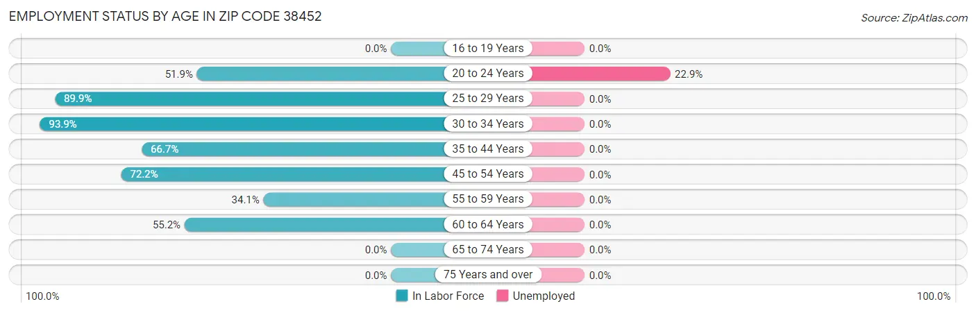 Employment Status by Age in Zip Code 38452