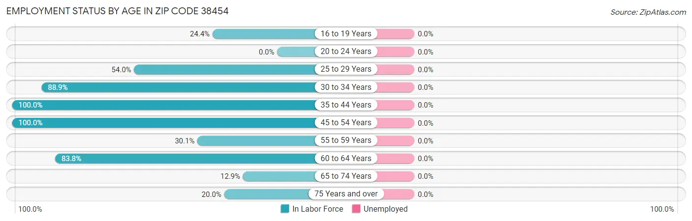 Employment Status by Age in Zip Code 38454