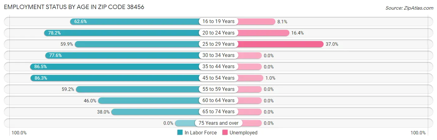 Employment Status by Age in Zip Code 38456