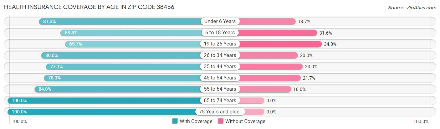 Health Insurance Coverage by Age in Zip Code 38456