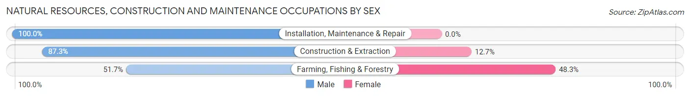 Natural Resources, Construction and Maintenance Occupations by Sex in Zip Code 38456