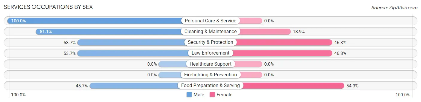 Services Occupations by Sex in Zip Code 38456