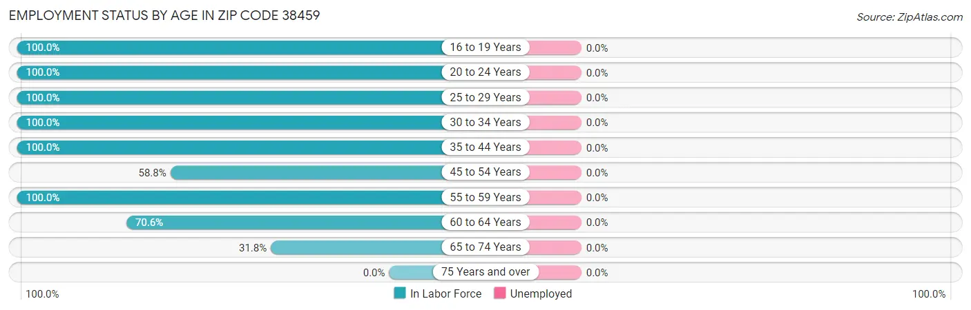 Employment Status by Age in Zip Code 38459