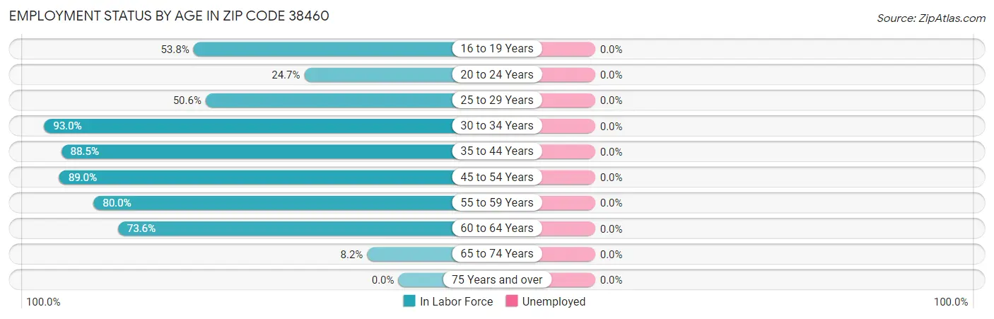 Employment Status by Age in Zip Code 38460