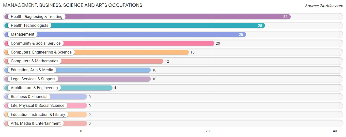 Management, Business, Science and Arts Occupations in Zip Code 38460