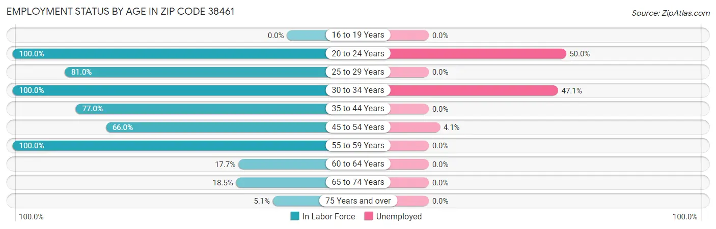 Employment Status by Age in Zip Code 38461