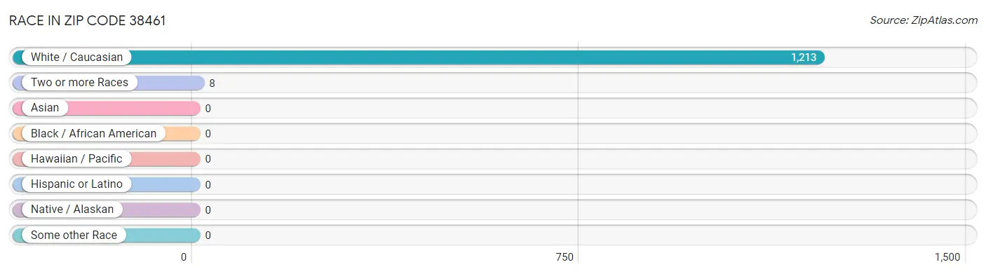 Race in Zip Code 38461