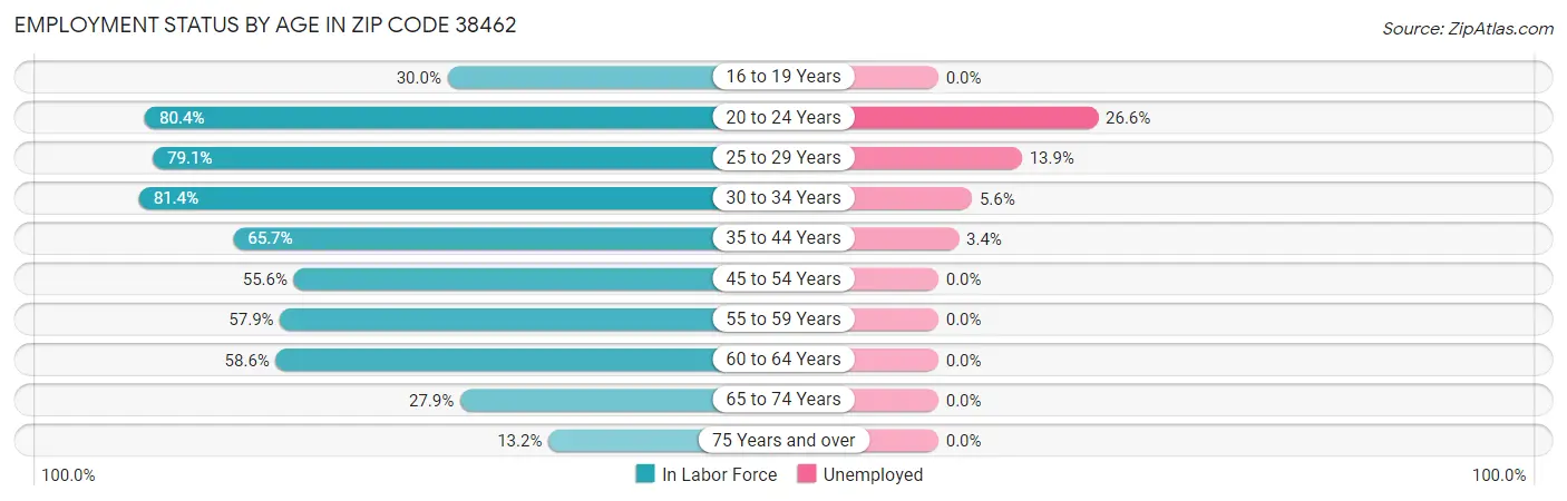 Employment Status by Age in Zip Code 38462