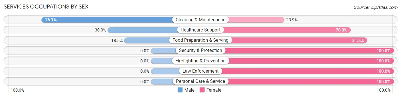 Services Occupations by Sex in Zip Code 38462